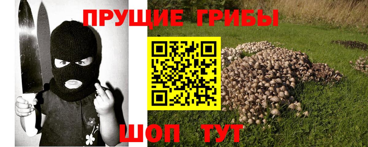 Псилоцибиновые грибы мухоморы  Вход с VPN  Электрогорск 