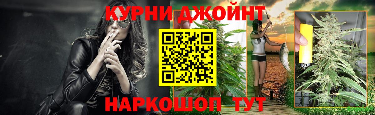 Конопля сатива Электрогорск